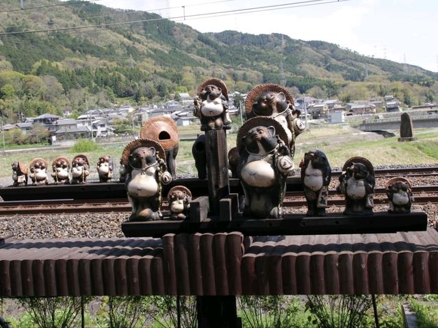 SAGANO ROMANTIC TRAIN