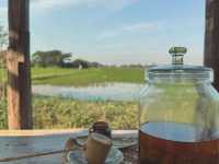 คาเฟ่ชายทุ่งสไตล์ญี่ปุ่นโบราณ #เพชรบุรี ดีต่อใจ