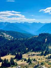 Untamed Wilderness – My Solo Journey Through Olympic National Park