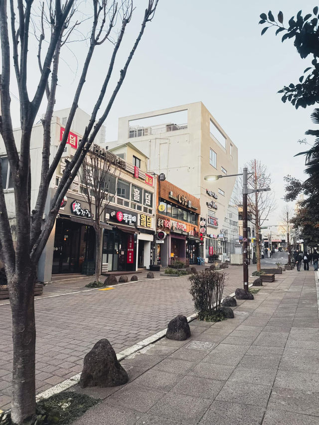 One-day itinerary for Seogwipo, Jeju