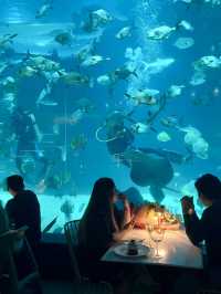 A Unique Dining Experience at Aquadining by Cebu Ocean Park
