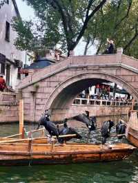 Discovering Tongli Ancient Town