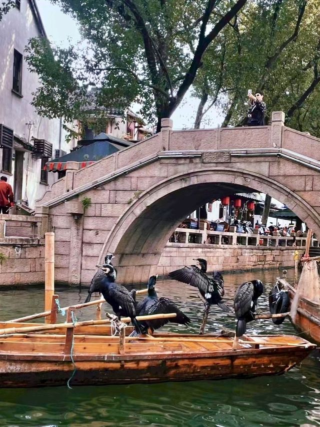 Discovering Tongli Ancient Town