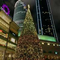A Sparkling Christmas at Petronas Twin Towers