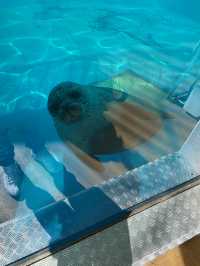 四國水族舘
