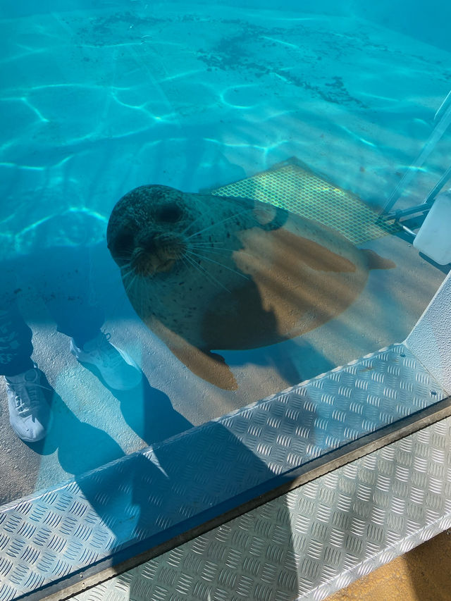 四國水族舘