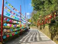 Maokong Gondola & Tea Plantations