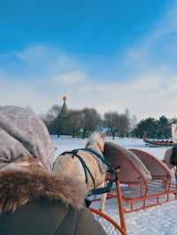  Cost SAVING‼️ 7D6N Winter ❄️ Itinerary to HARBIN 🇨🇳