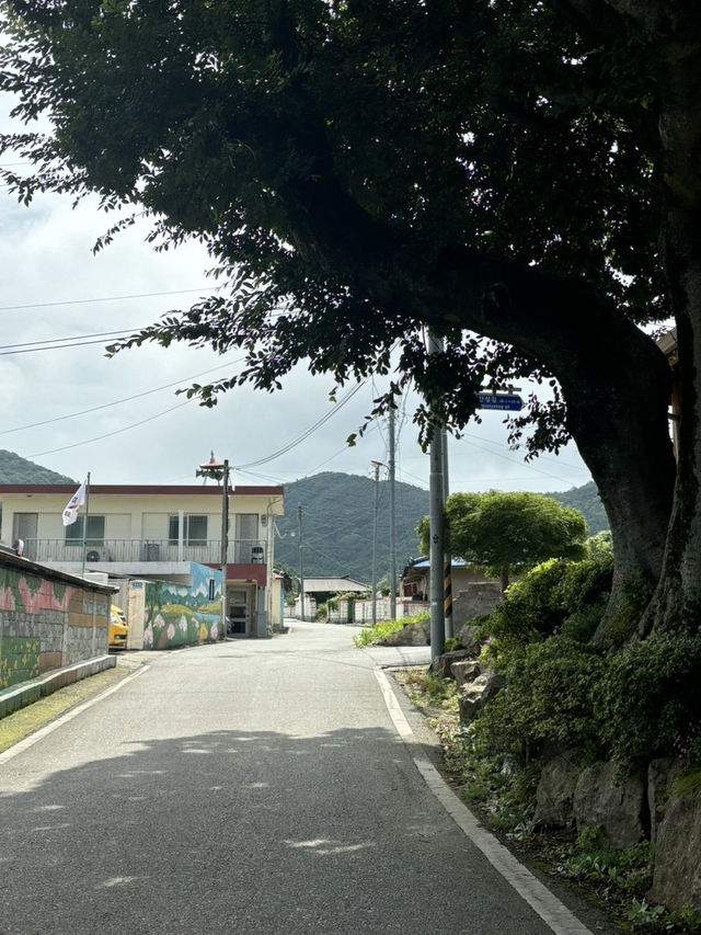진도여행