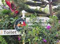 คาเฟ่ นครนายก
