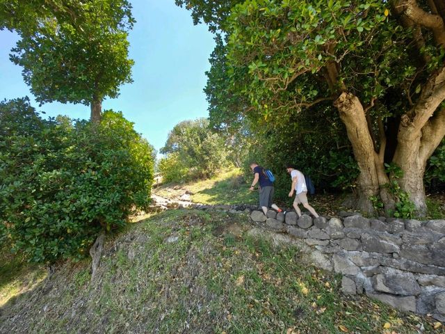 皇家公主郵輪澳紐岸上遊 - 塔朗哥