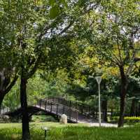 碧湖公園：在“城市綠洲裡尋找孩子的歡笑” 🌊🌳
