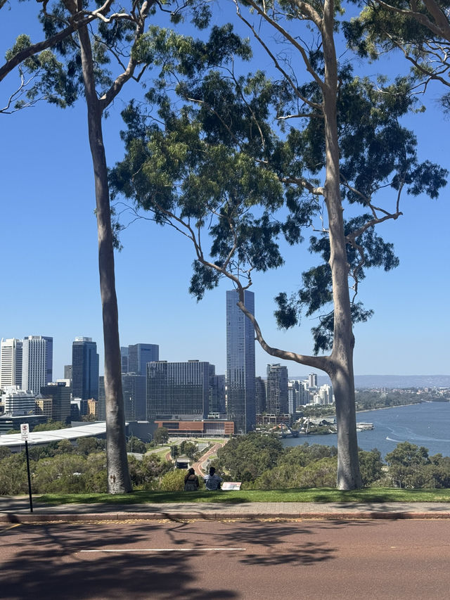Kings Park Adventure: Nature, Views & Culture
