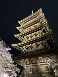 🌟 京都東寺夜櫻：一生必去的絕景 🌸