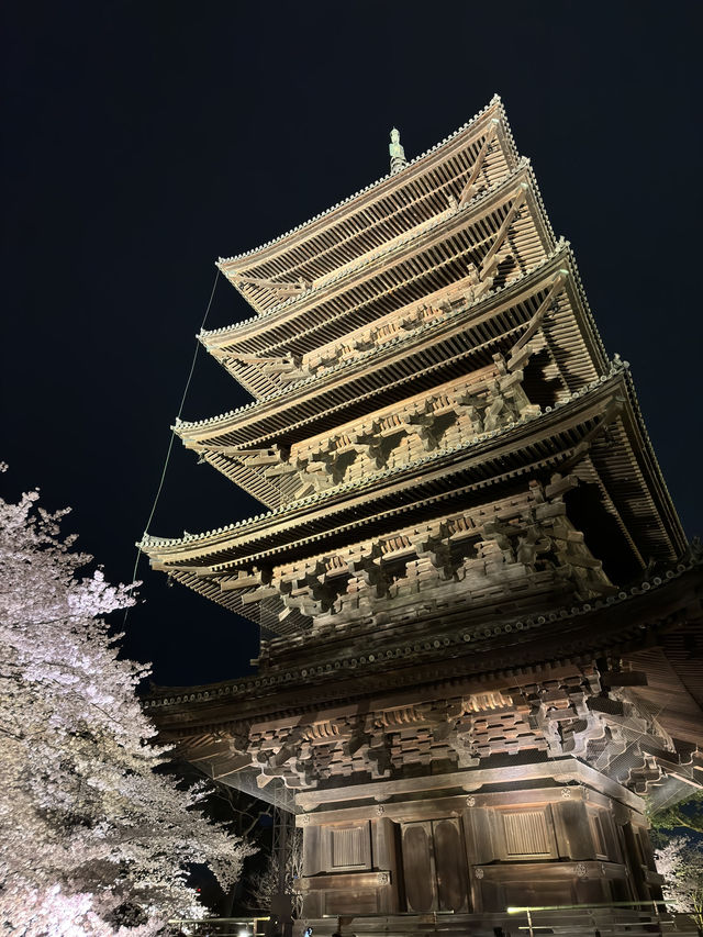 🌟 京都東寺夜櫻：一生必去的絕景 🌸
