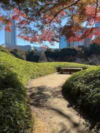 Koishikawa Korakuen (小石川後楽園)