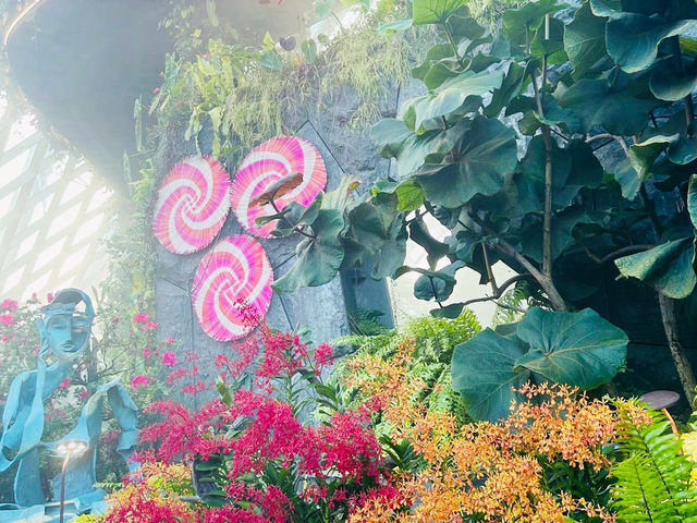雲霧林看瀑布與植物