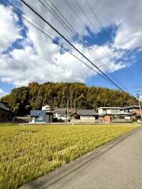 【和歌山県】急勾配の坂と竹林の先にある神社