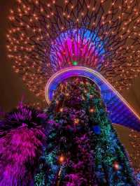 Why you must visit Gardens by the bay when you visit Singapore