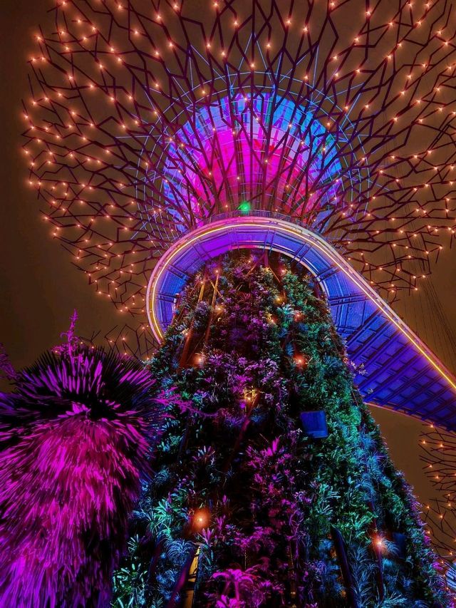 Why you must visit Gardens by the bay when you visit Singapore