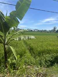 Discover Kuta Lombok on Two Wheels 🌿🏍️
