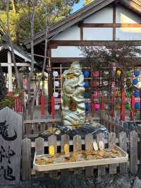 名古屋別小江神社——紙傘映照下的和風浪漫