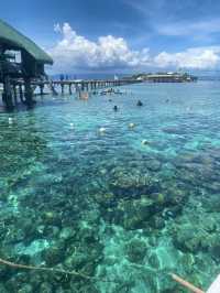 【セブ島】アイランドホッピング🇵🇭