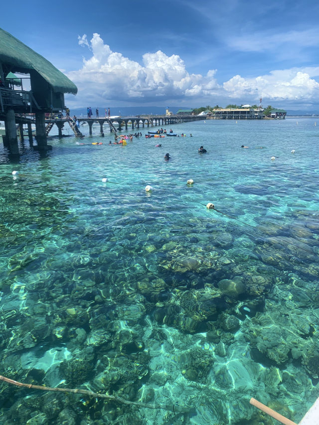 【セブ島】アイランドホッピング🇵🇭