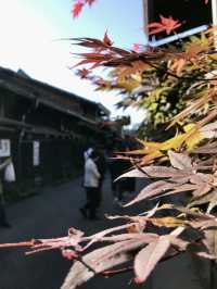 岐阜｜打開穿越時空的膠囊 飛驒高山三町體驗江戶風情