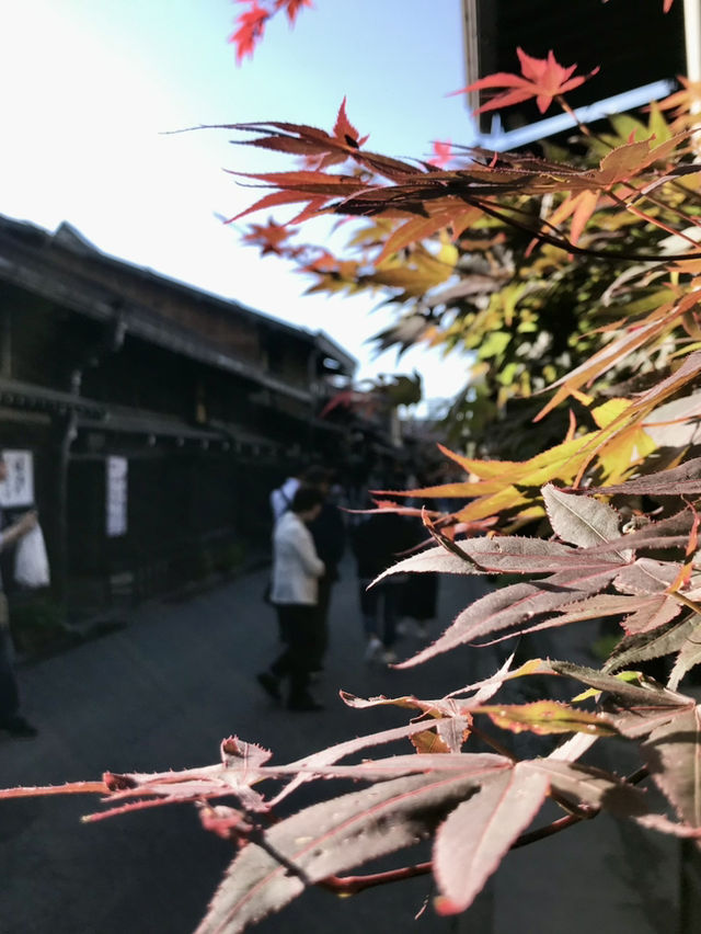 岐阜｜打開穿越時空的膠囊 飛驒高山三町體驗江戶風情