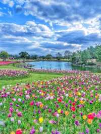 Uminonakamichi Seaside Park (海の中道海浜公園)