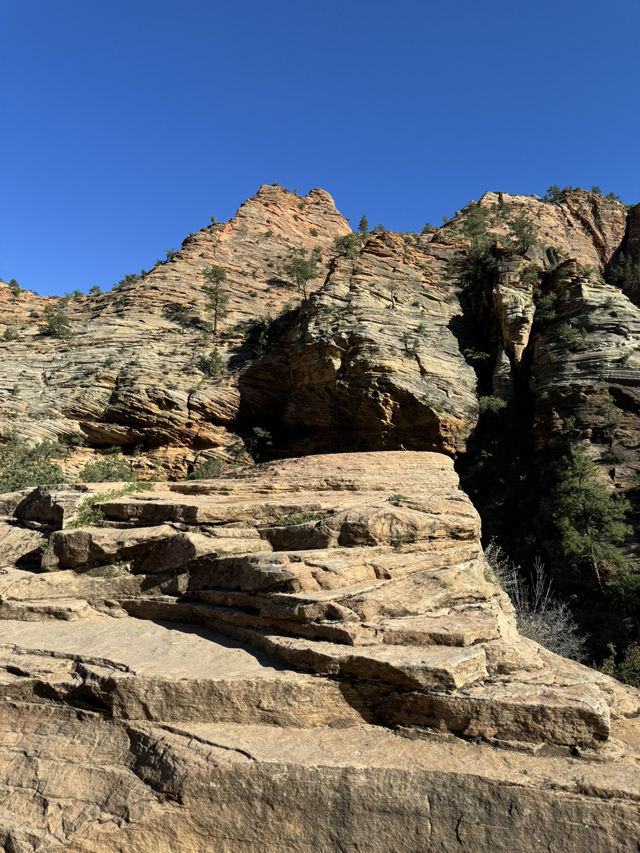 깊고 울창한 자연의 품 안에 숨겨진 보석 같은 장소 “Zion canyon”