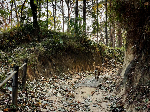 จุดยุทธศาสตร์ที่ 1 อุทยานแห่งชาติดอยขุนตาล 🌳⛰️