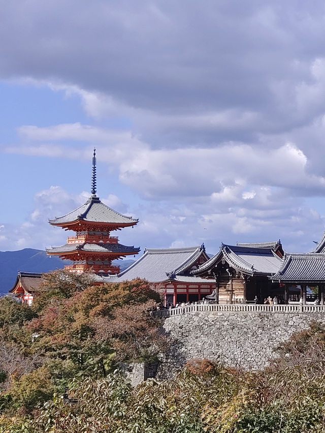  大阪京都：清水寺 | 嵐山 