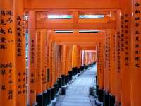 Kumatori 6 Days Itinerary