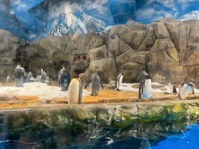 香港海洋公園遊玩攻略