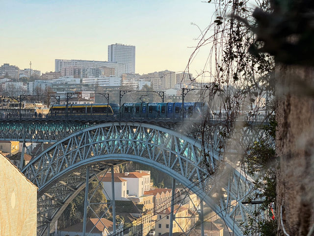 If there’s only one place you must go in Porto, this is it