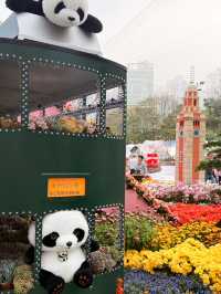 香港維園花展🌸鬱金香花海超美！