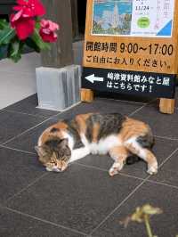 躲過迫害的信仰--崎津集落（日本.熊本縣.天草）