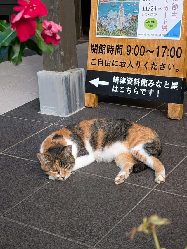 躲過迫害的信仰--崎津集落（日本.熊本縣.天草）