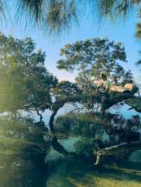 遺世獨立的海濱天堂：澳洲福斯特（Forster）