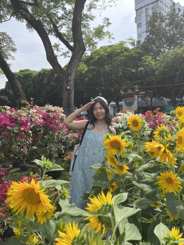 🌸 Spring in Ho Chi Minh City