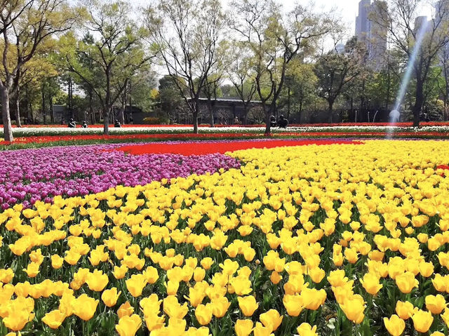 ซากุระ @Jing'an Sculpture Park