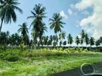 “Lumut: Spring Escape by the Sea & Hill”