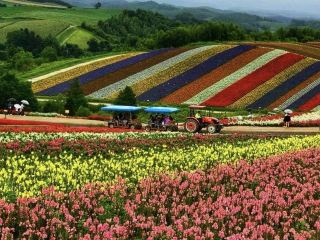 Furano and Biei (Hokkaido)
