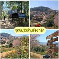 พิกัดเที่ยวบ้านร่องกล้า พิษณุโลก