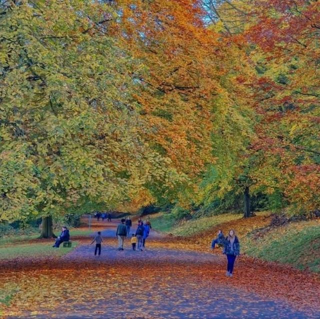fantastic spot for a family day out