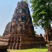 Wat Mahathat: A Sacred Historical Treasure