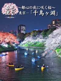 行かなきゃ損‼️夜のボートが1番混むよ！