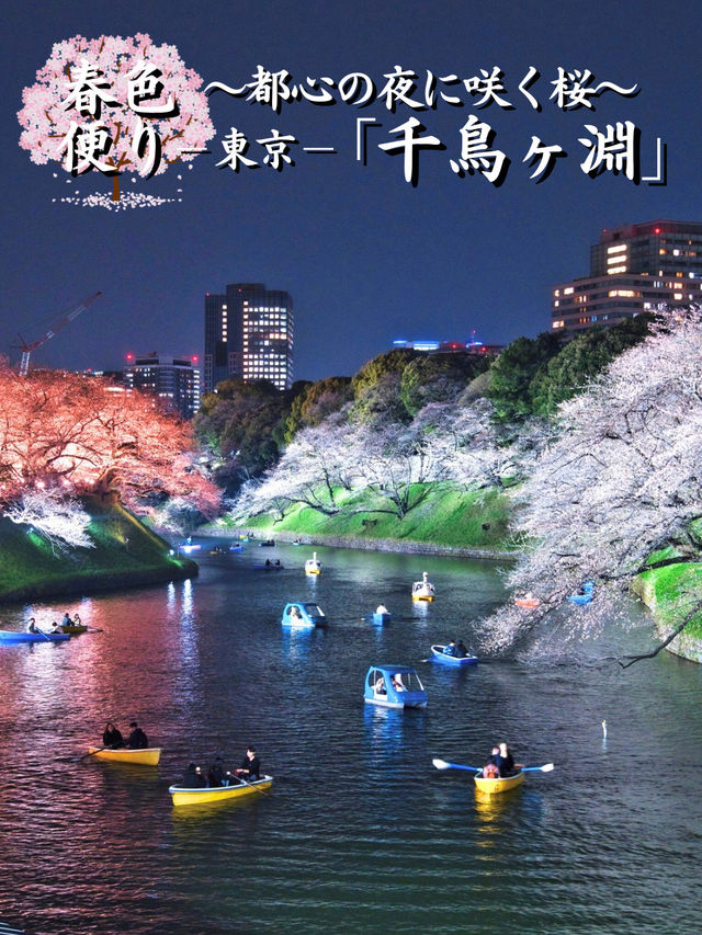 行かなきゃ損‼️夜のボートが1番混むよ！
